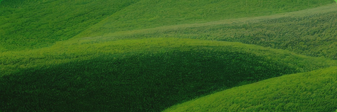 K8凯发集团(中国)公司官网