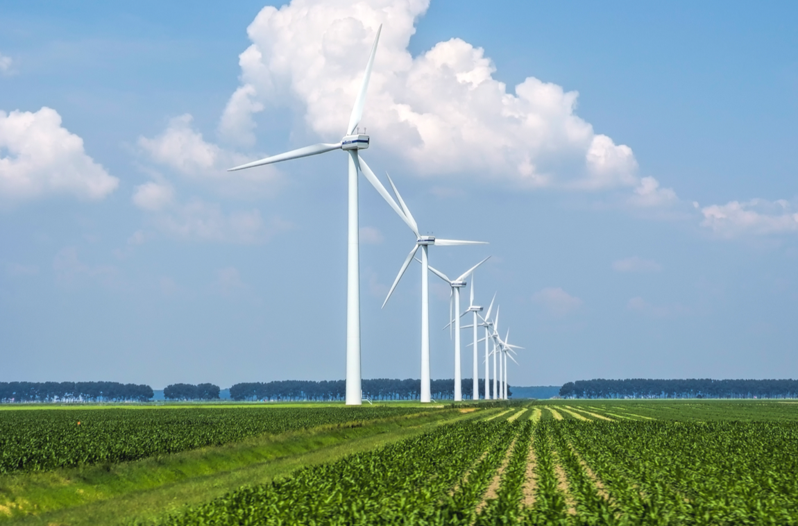 K8凯发集团(中国)公司官网