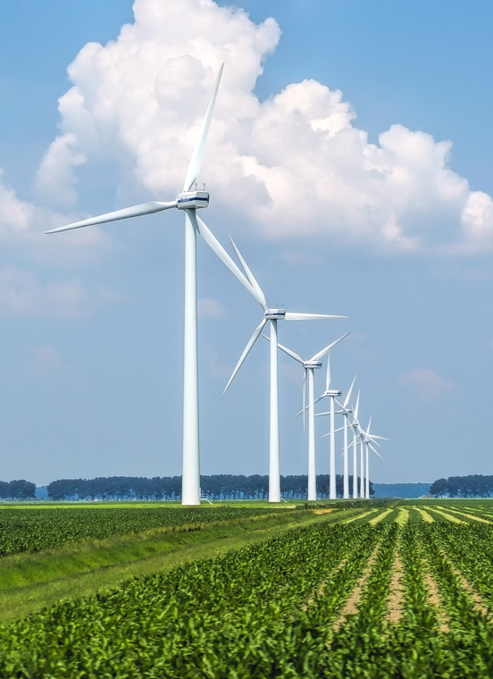 K8凯发集团(中国)公司官网