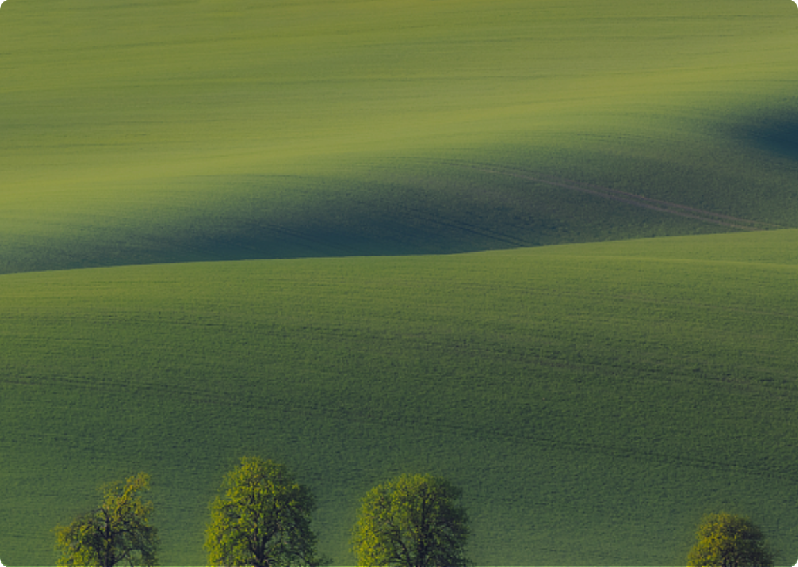 K8凯发集团(中国)公司官网