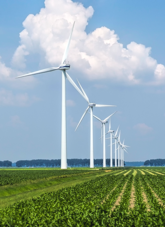 K8凯发集团(中国)公司官网